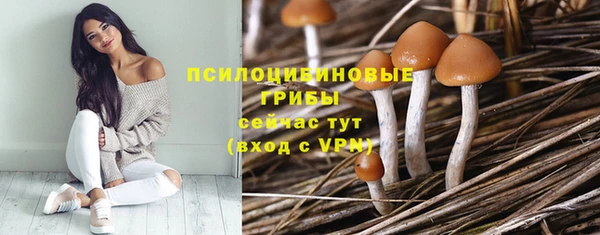 скорость mdpv Заполярный