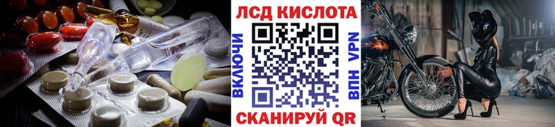 KRAKEN как войти  Новоржев  LSD-25 экстази кислота 