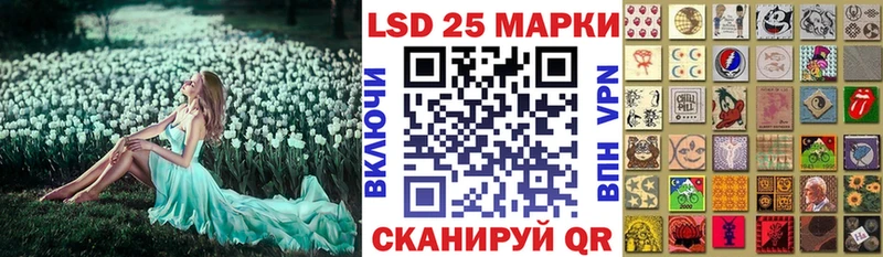 нарко площадка клад  Новоржев  Марки NBOMe 1,8мг  магазин продажи  