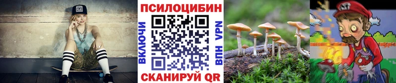 сколько стоит  Новоржев  Галлюциногенные грибы Psilocybe 