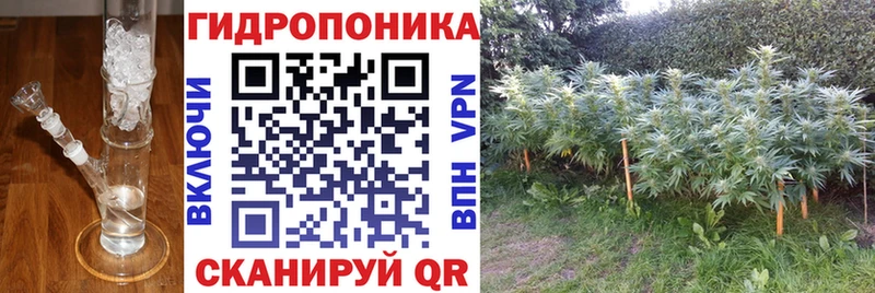Марихуана марихуана  Новоржев 